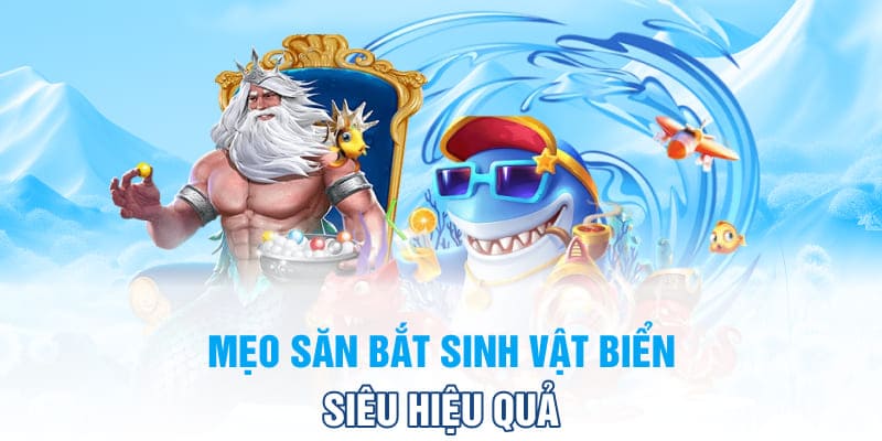 Meo-san-bat-sinh-vat-bien-sieu-hieu-qua